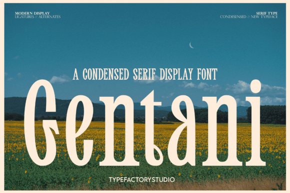 Gentani Font: Elevate Digital Branding and Editorial Design